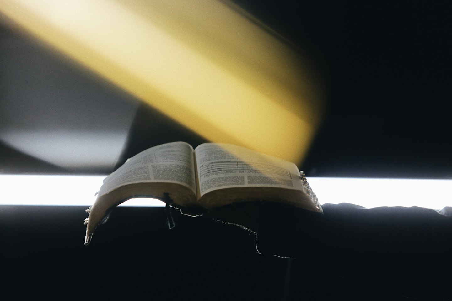 An open book rests on a surface with light shining across it.
